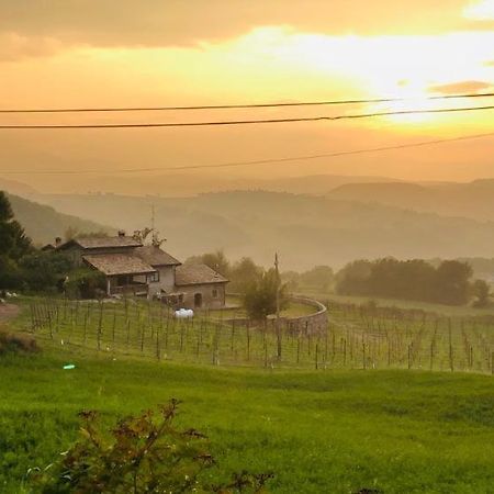 RossenaFattoria Branciana住宿加早餐旅馆 外观 照片