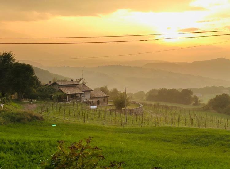 RossenaFattoria Branciana住宿加早餐旅馆 外观 照片